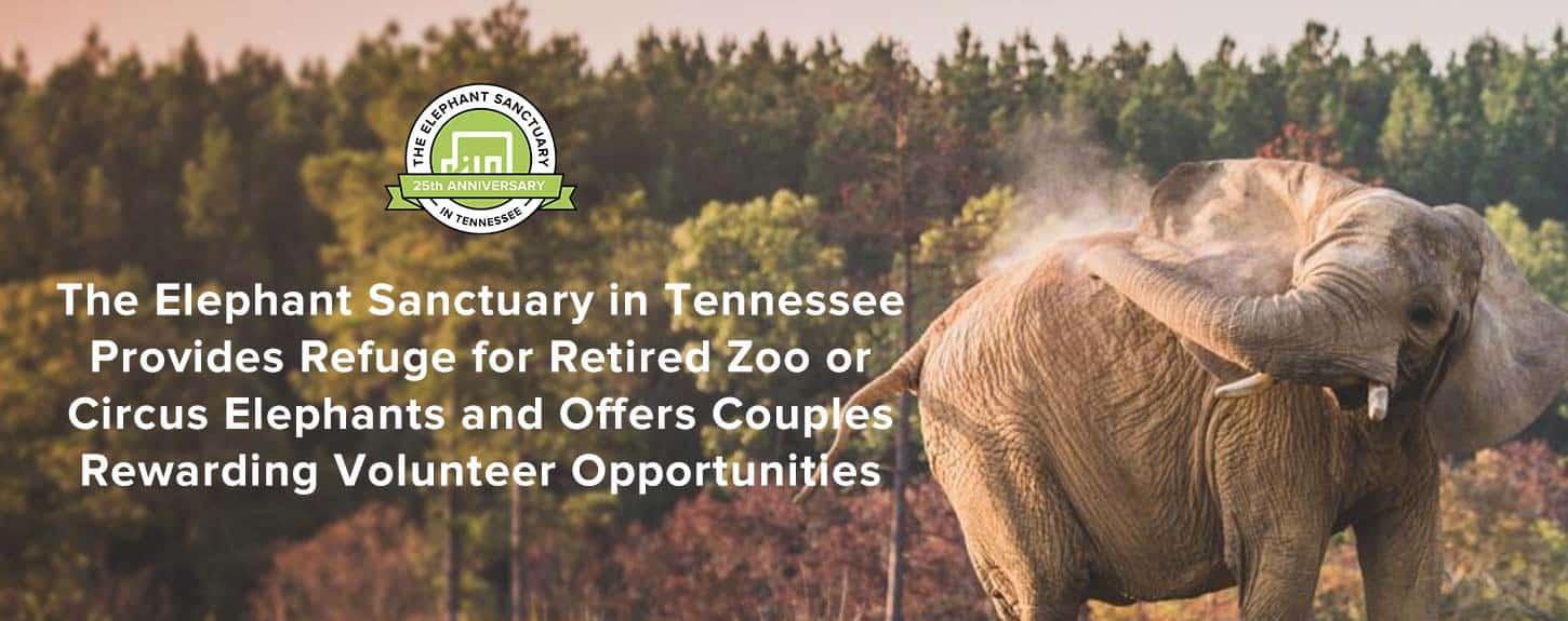 The Elephant Sanctuary in Tennessee Provides Refuge for Retired Zoo or